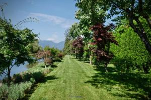 Get The Best Abbotsford Landscape Maintenance Services
