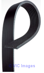 Serpentine Belt - PartsAvatar.ca