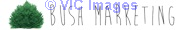 Web Design Toronto - Bush Marketing
