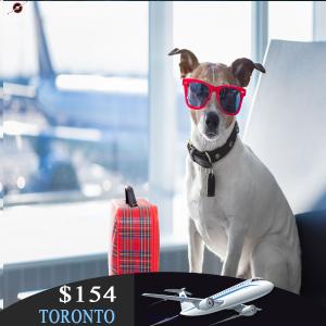 Return flight Winnipeg to Toronto Only $171