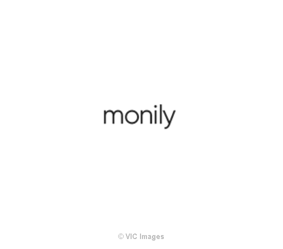 Monily Bookkeeping Service
