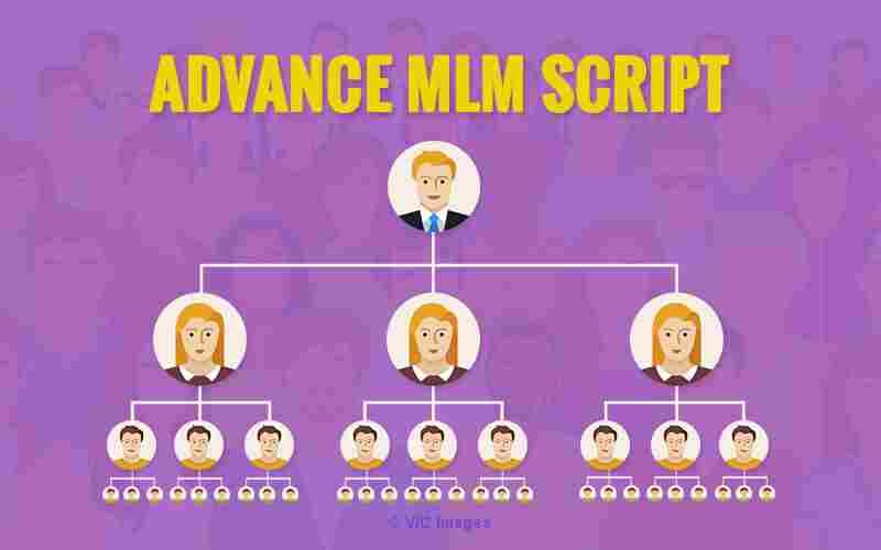 mlm software | mlm software company | Multi-level Marketing software