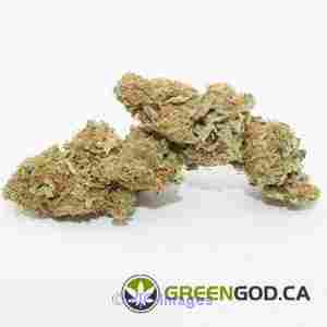 Buy Quality Medical Cannabis in Ontario