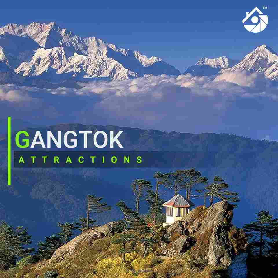 Homestays, hotels, flight booking for your vacation.