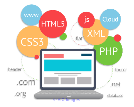 Get Best Website Development Services in India