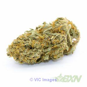 Watermelon Kush - Feel happy and relaxed !