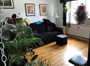 Lachine sunny & silent 3 1/2+parking, near downtown&airport