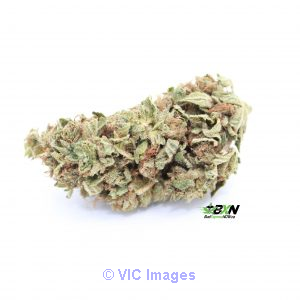 HINDU KUSH  Hindu Kush is a pure indica -Bud Express Now