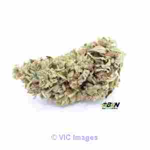 HINDU KUSH  Hindu Kush is a pure indica -Bud Express Now