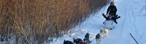 Fishing Tours (Yellowknife Tours Ltd.)