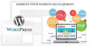 How Can Wordpress Help to Improve Your Website Development