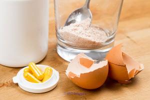 Best Egg Yolk Technology by Ecovatec