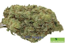 Order Blue Dream Strain Online