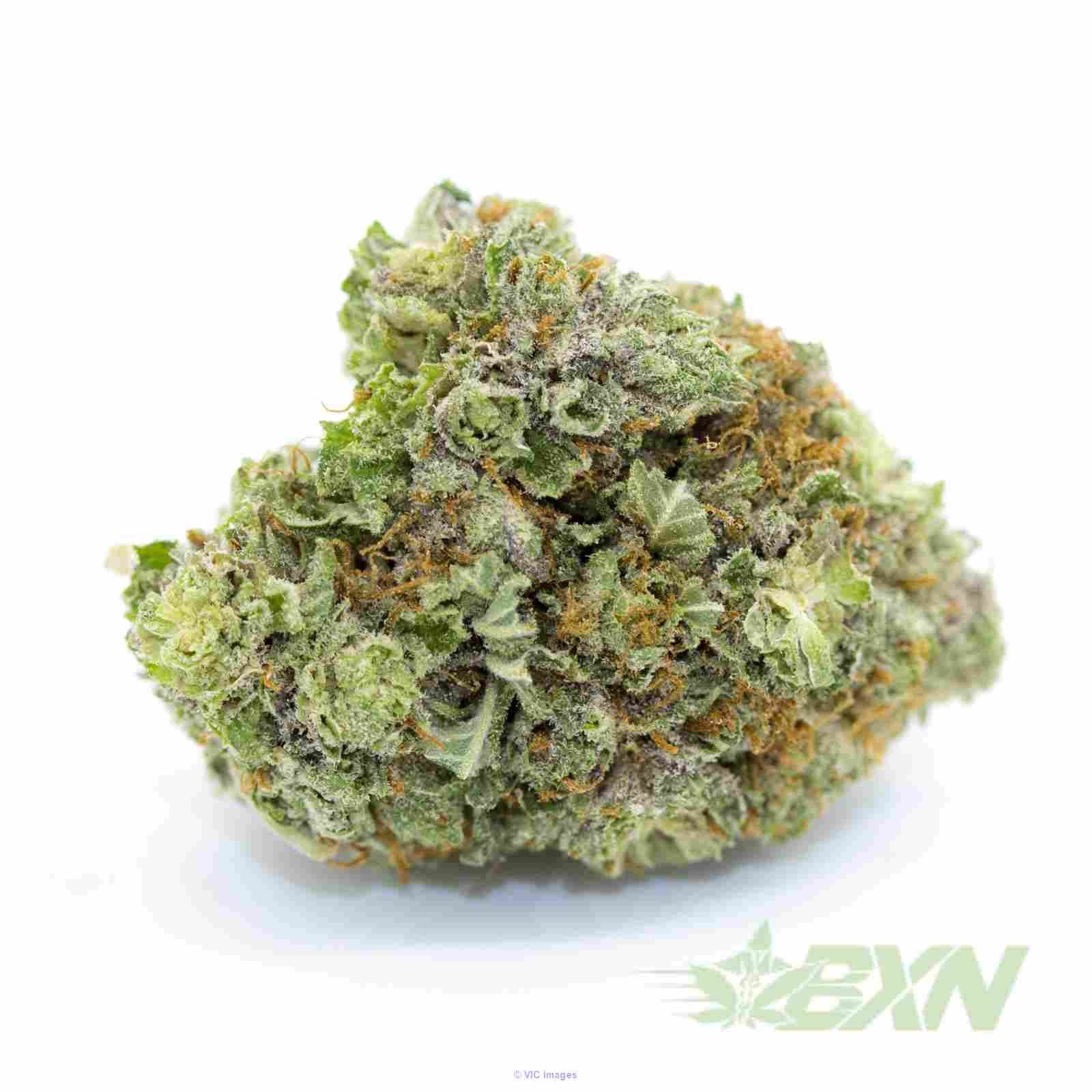 Indica Super Skunk - ON SALE ($125/Oz) - Wholesale Dispensary Canada