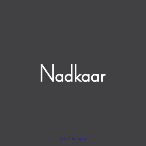 Nadkaar - Digital services World wide