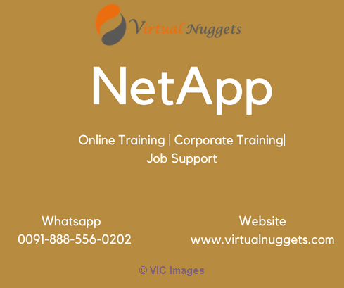 NetApp SAN Online Training Institute