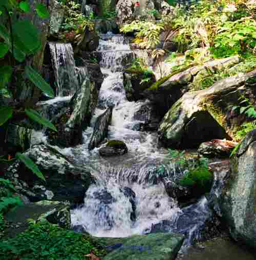 Best Naturalistic Landscapes Service