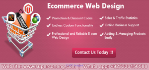 Best Ecommerce Web Development Company