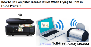 Dial 1-844-443-2544 How to Fix Epson Printer Ink Cartridge Issues?