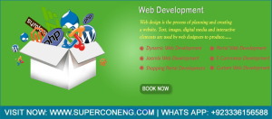 Professional Web Designing & Development Company