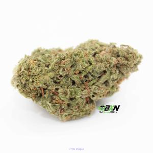 Love Potion ON SALE ($199/OZ)