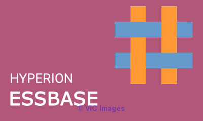 Hyperion Training | Best Oracle Hyperion Training Course Online