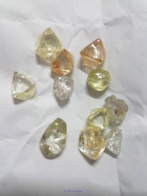 Gold dust,dore bars 95.96 purity 22+ carat sales +254737490577whatsapp