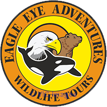 Eagleeyeadventures