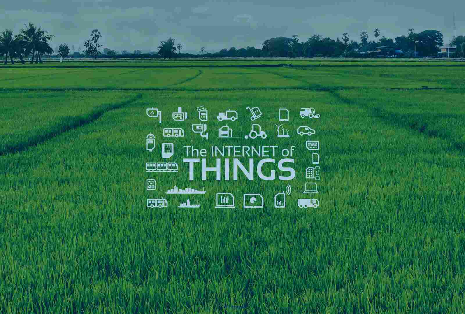 Agriculture Mobile Application Development Company - Bacancy Technolog