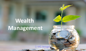 Wealth Management Solution