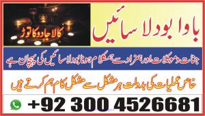 love marriage specialist , manpasand shadi
