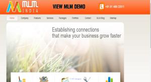 MLM Software Company, MLM Binary Website, Custom Software  Services