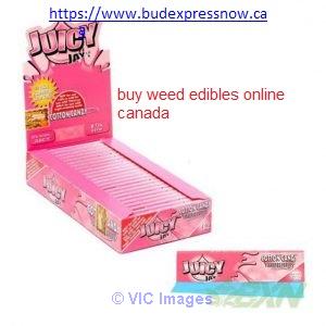 Juicy Jays Flavored Rolling Papers Cotton Candy (1 1/4 SIZE)