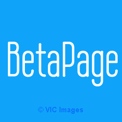 Promote your Business with Best Startup Community!