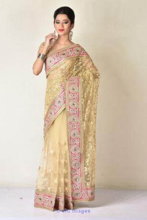 Buy the best collections of fancy net sarees online shopping