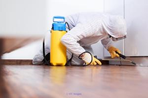 Best Pest Control Service In Winnipeg