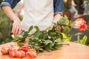 Calgary Flower Shop 149,000