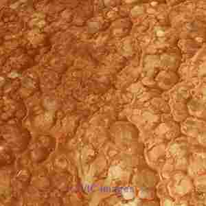 Get Best Epoxy Coating Colors for Garage Floor