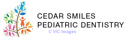 Root Canal Treatment Langley BC - Langley Dentist - Dentist Langley BC
