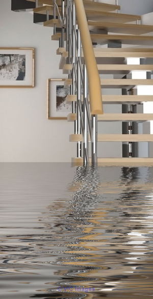 Mould Removal Services Ajax
