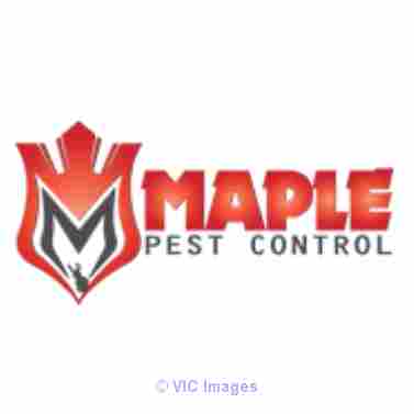 Get Relaible Pest Control Services In Mississauga At Affordable Prices