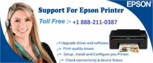 Call +1 888-211-0387 To Epson Printer Drivers Installation