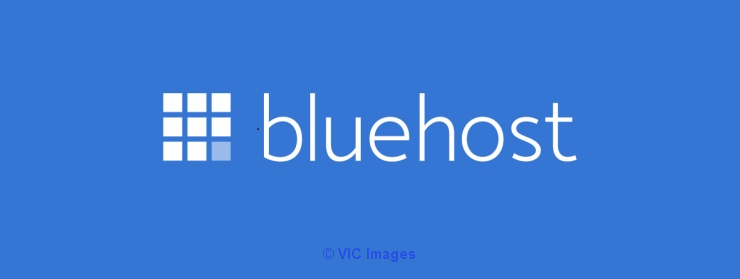 Bluehost is at present in charge of facilitating in excess