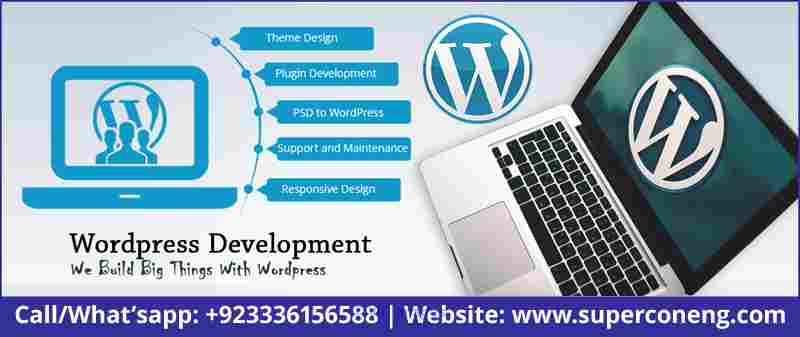 Cheapest WordPress web development services