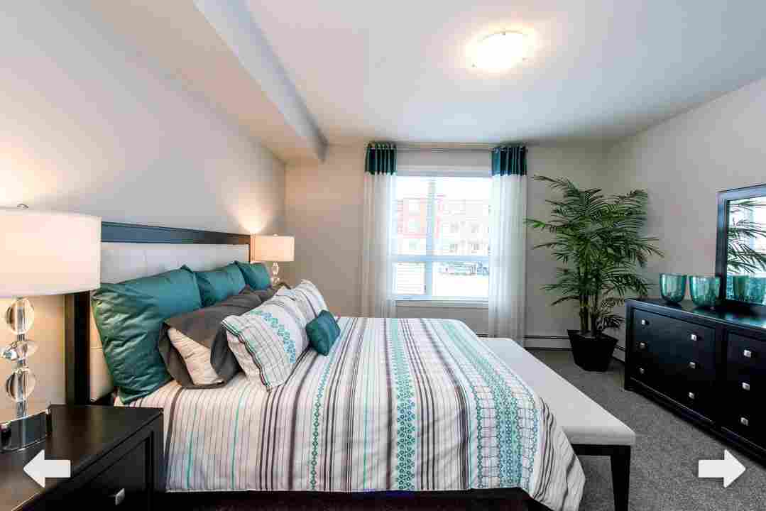 Below rates and Finest Condition Appartments in Canada Saskatoon.