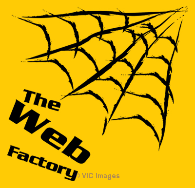 Web Design | Web Development | SEO | SMM | Digital Marketing Company