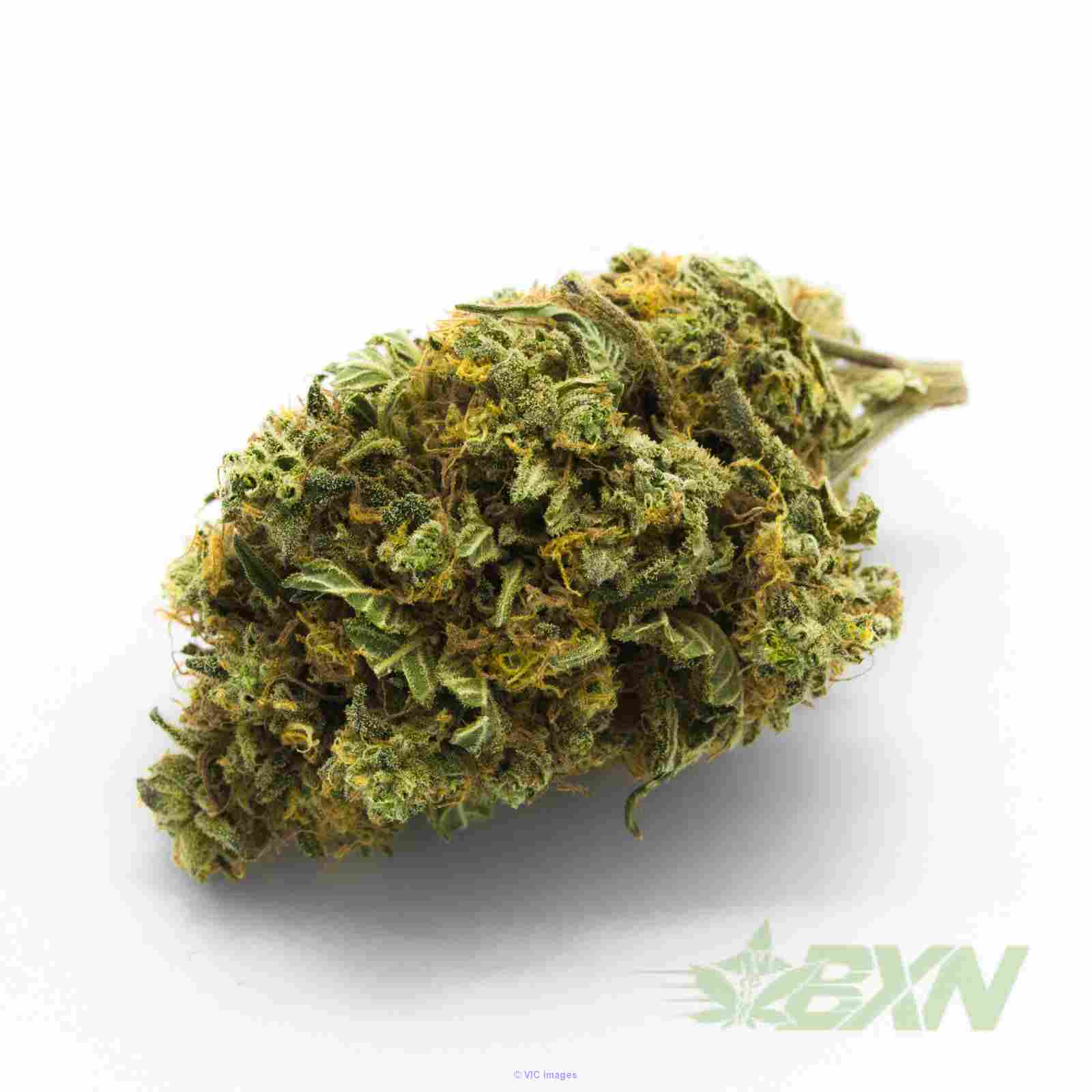 King Louis XIII  ON SALE ($125 / OZ)