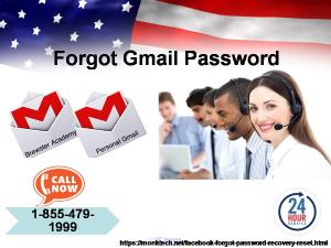 Immediate help on Forgot Gmail Password from our service 18554791999
