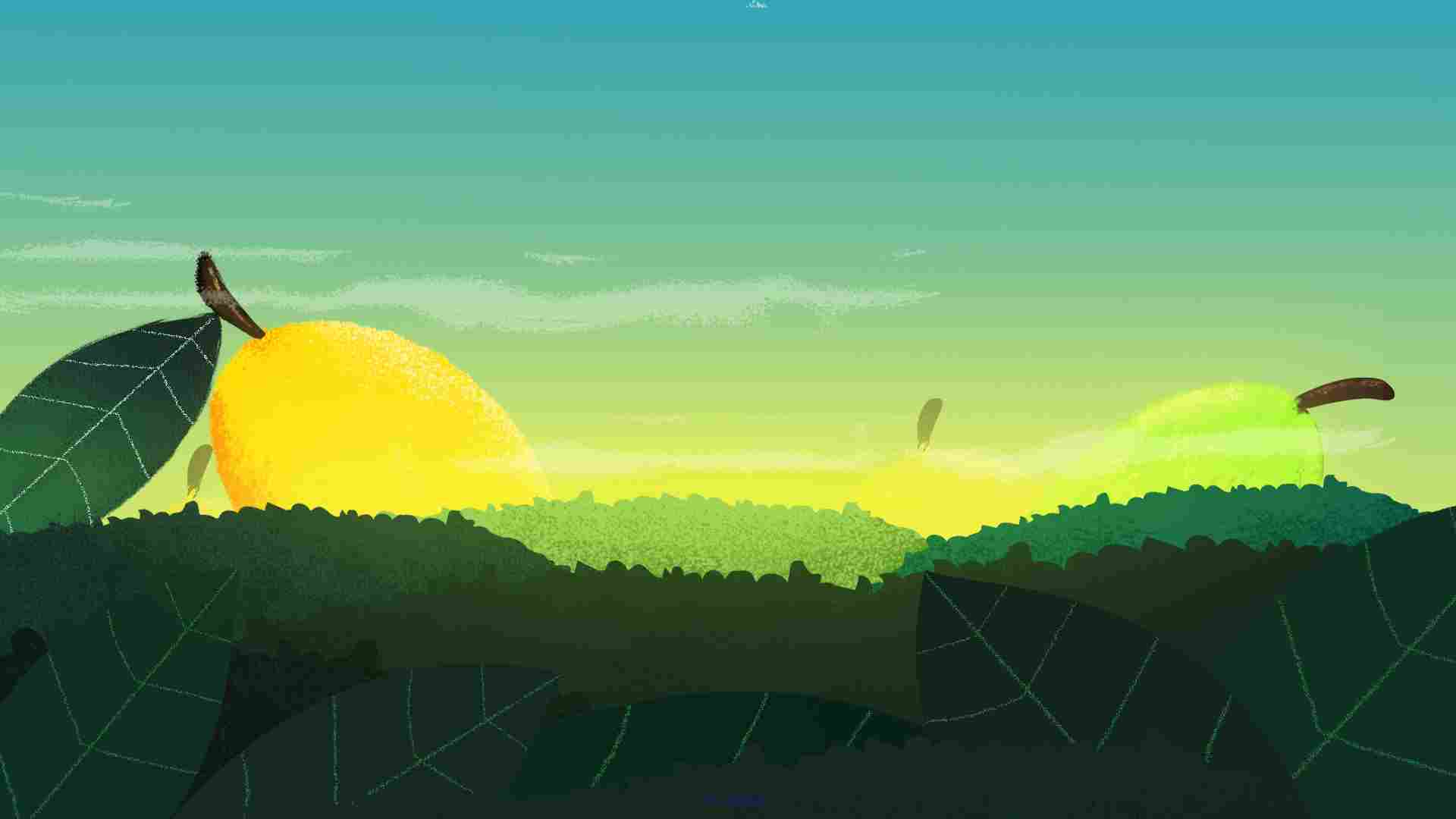 2D creative animated videos