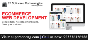 Hire Ecommerce Professionals for Ecommerce website